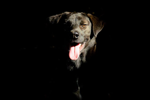 柴子ケアラボ内観